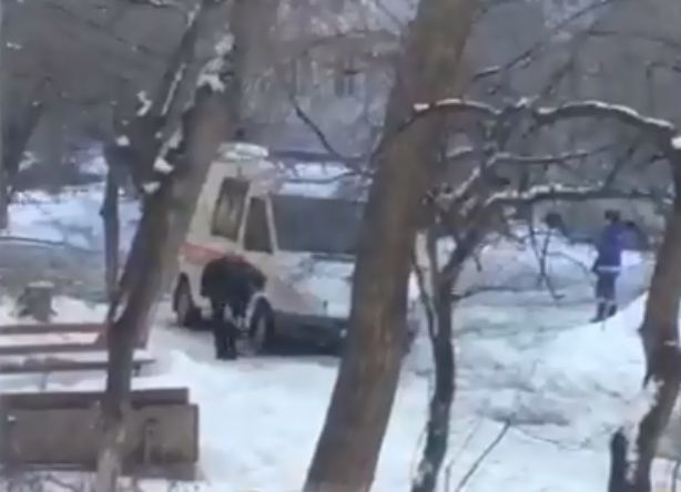 Спешащая на вызов «скорая» застряла во дворе-ловушке на севере Волгограда Спешащая на вызов «скорая» застряла во дворе-ловушке на севере Волгограда