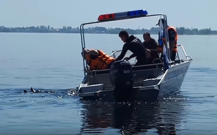 Двух утопающих «японцев» вытащили из воды волгоградские спасатели Двух утопающих «японцев» вытащили из воды волгоградские спасатели