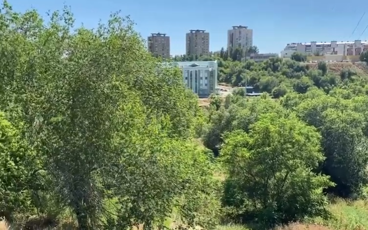 Пойму Царицы в Волгоград хотят украсить каскадными садами Пойму Царицы в Волгоград хотят украсить каскадными садами