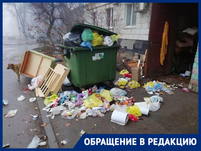 «Мусор уже летает по двору», – три дня стоят переполненные мусорные баки в Волгограде «Мусор уже летает по двору», – три дня стоят переполненные мусорные баки в Волгограде