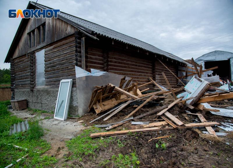 Стала известна окончательная дата разбора конюшен «Соснового бора» в Волгограде Стала известна окончательная дата разбора конюшен «Соснового бора» в Волгограде