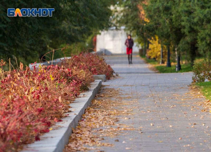 Прогноз ЦГМС: потепление в Волгограде продлится до конца недели Прогноз ЦГМС: потепление в Волгограде продлится до конца недели