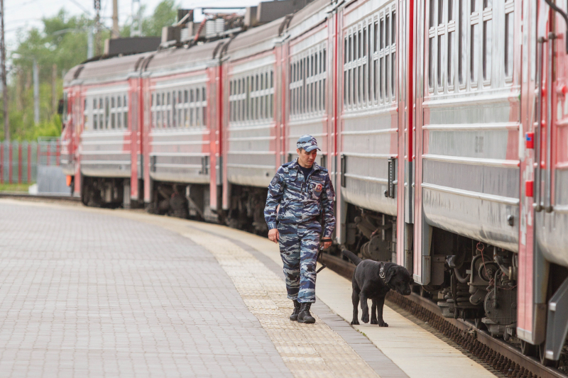 Волгоградцу грозит 10 лет колонии за прополку станции поезда от конопли Волгоградцу грозит 10 лет колонии за прополку станции поезда от конопли