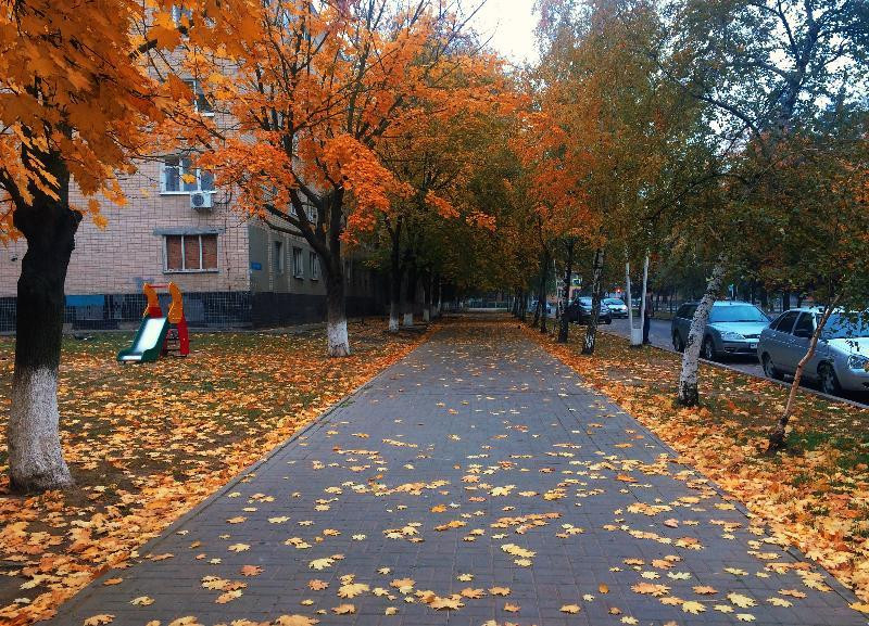 Какая погода ожидает волгоградцев в первый день октября Какая погода ожидает волгоградцев в первый день октября