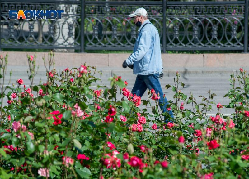 К 5312 зараженным COVID-19 на 20 июня приблизилась Волгоградская область К 5312 зараженным COVID-19 на 20 июня приблизилась Волгоградская область