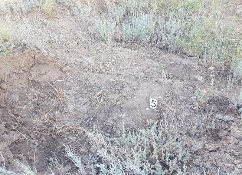 Уголовное дело о массовых убийствах мирных жителей Сталинграда во время ВОВ возбудили в Волгограде Уголовное дело о массовых убийствах мирных жителей Сталинграда во время ВОВ возбудили в Волгограде