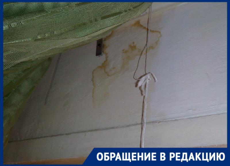 «Мне что, ее самой пленкой закрывать?»: УК «Возрождение» игнорирует просьбы 72-летней волгоградки отремонтировать крышу «Мне что, ее самой пленкой закрывать?»: УК «Возрождение» игнорирует просьбы 72-летней волгоградки отремонтировать крышу