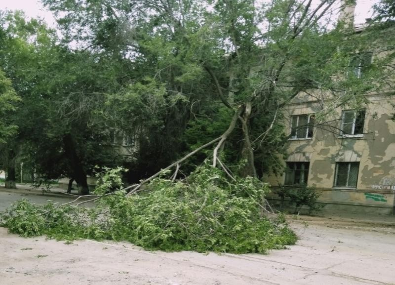Массово ликвидировать последствия штормового ветра вынуждены коммунальщики в Волгограде Массово ликвидировать последствия штормового ветра вынуждены коммунальщики в Волгограде