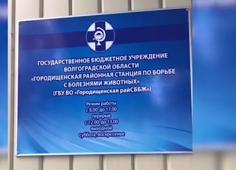 Во взятке в полтора миллиона рублей подозревают волгоградского ветеринара Во взятке в полтора миллиона рублей подозревают волгоградского ветеринара
