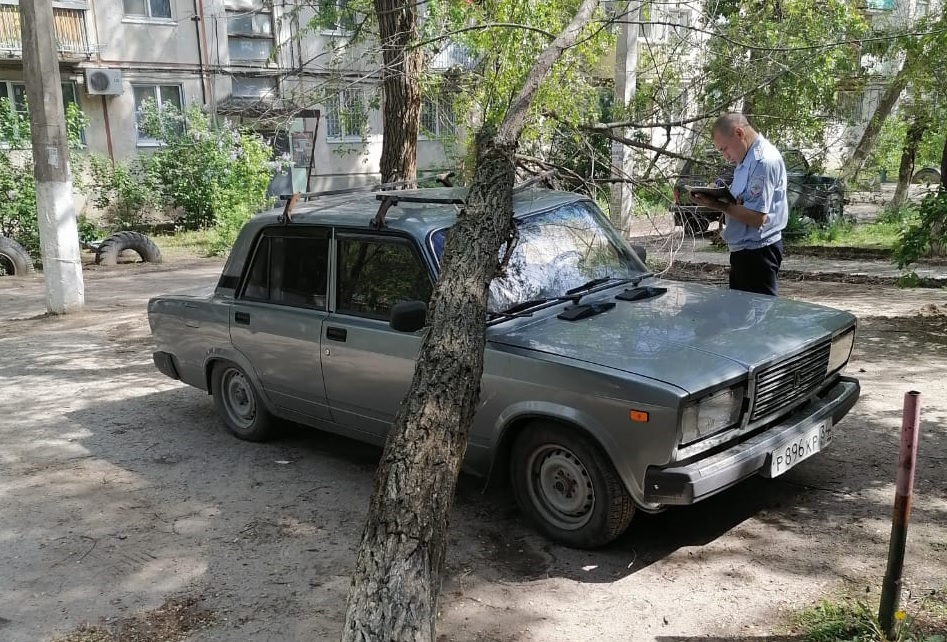 Дерево рухнуло на припаркованную «семерку» в Кировском районе Волгограда Дерево рухнуло на припаркованную «семерку» в Кировском районе Волгограда