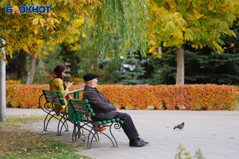 Пенсионный Фонд Новый Год