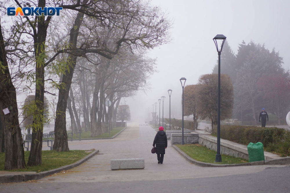 9 декабря в Волгоградской области морось, туман и до +6º тепла