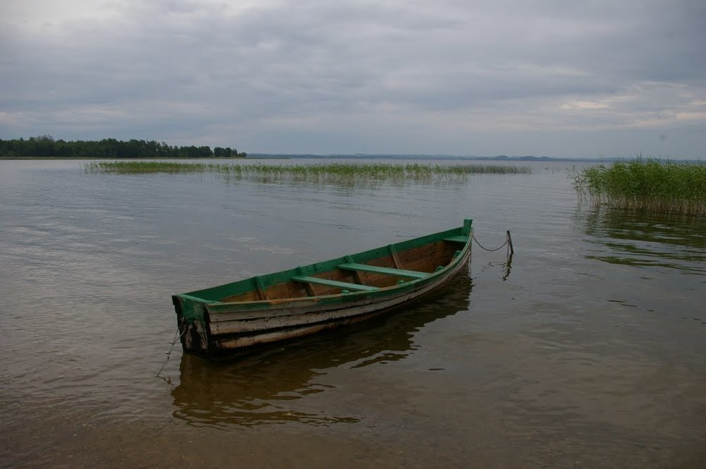 В озере в Михайловке нашли рыбака с 60 ножевыми ранениями