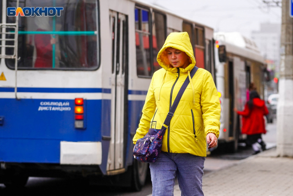 Сильный ветер и осадки: погода в Волгоградской области на 1 декабря