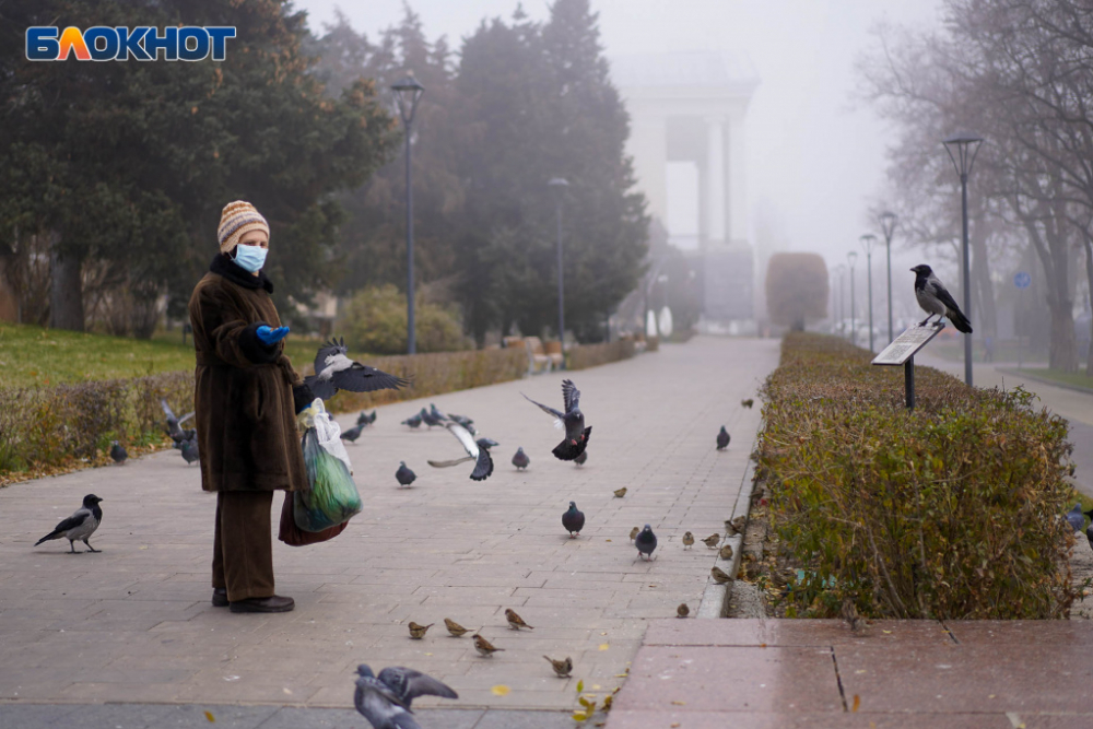 Последний день ноября принесет в Волгоград дождь и тепло до +12º