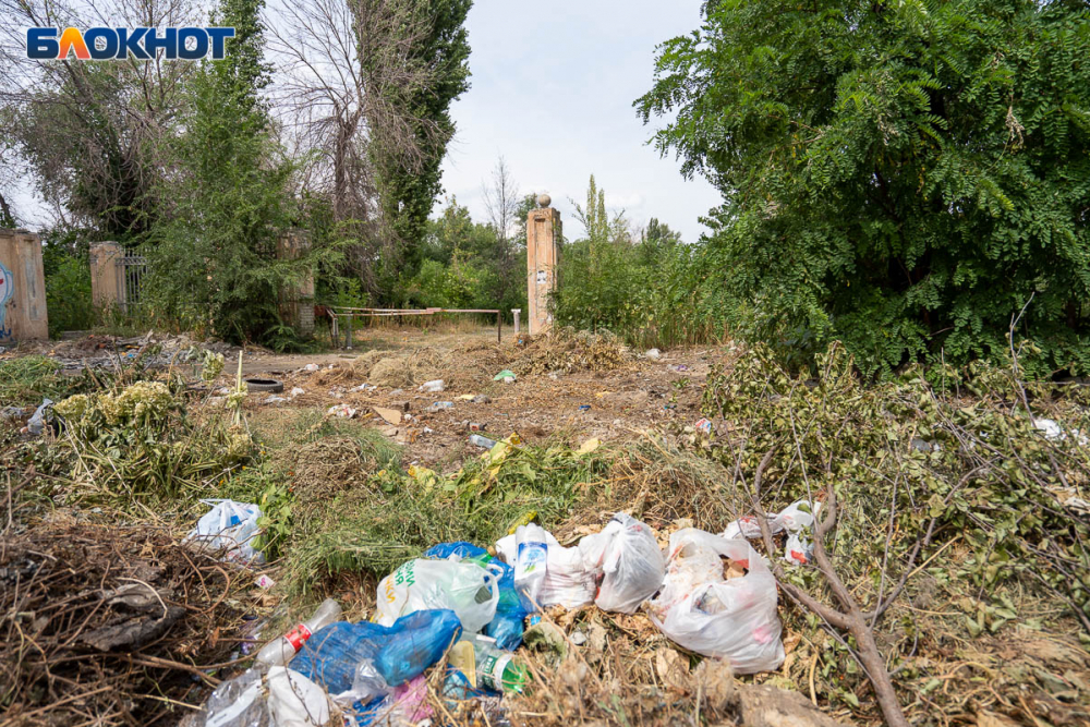 С платным входом для избранных: в Волгограде зарос мусором легендарный парк