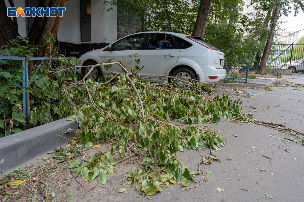 Волгоградское МЧС предупреждает о граде, штормовом ветре и ливне с грозой