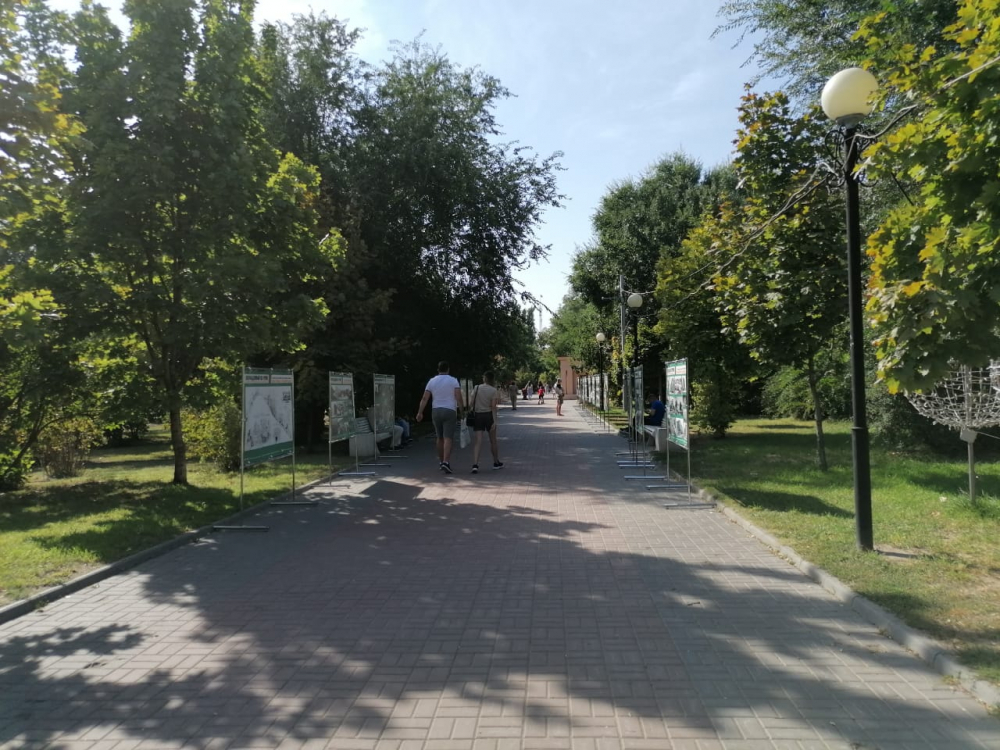 Главные идеи для Комсомольского сада озвучили волгоградцам урбанисты