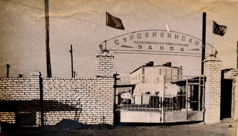 что посмотреть в суровикино