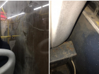 Свинское отношение: пассажирка волгоградского автобуса показала залитый грязью салон