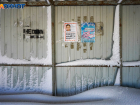 Уставшие, с обморожениями: волонтеры Лиза Алерт в метель продолжают поиски пропавшей школьницы под Волгоградом