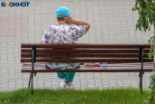 Сезон мошкары начался в Волгограде