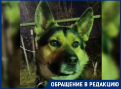 Что сегодня в волгограде. Смотреть фото Что сегодня в волгограде. Смотреть картинку Что сегодня в волгограде. Картинка про Что сегодня в волгограде. Фото Что сегодня в волгограде