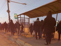 В Волгограде запустили ночные рейсы автобусов