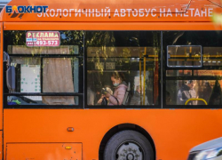 В Волжском поменяли расписание сразу пяти автобусам