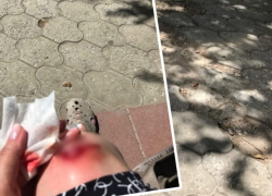В центре Волгограда женщина получила 4 шва после падения на разбитом тротуаре