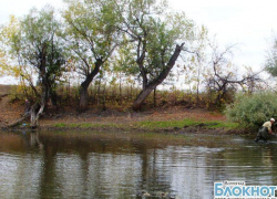 Фроловский Район Фото