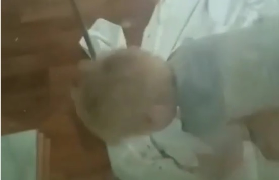 Один с фекалиями: в Волгограде двухлетнего мальчика бросили в больнице