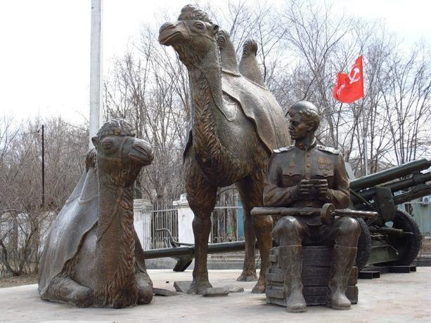 Под Сталинградом немцам пришлось столкнуться с верблюжьей кавалерией