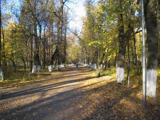 В Волгограде займутся парками