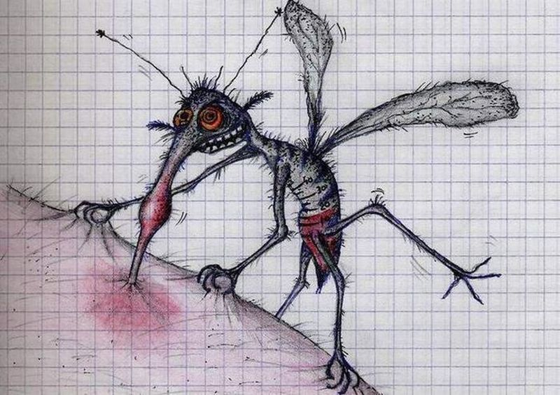 В Волгограде настоящее нашествие комаров и мошек