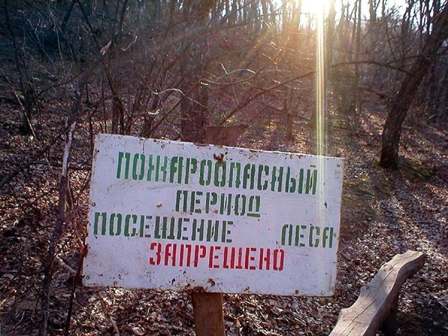 В Волгоградской области продлено ограничение на посещение лесов